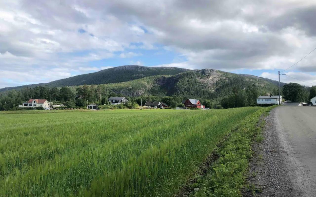 Appartamento Stille Og Landlig, Men Sentrumsnaer Leilighet Namsos Esterno foto