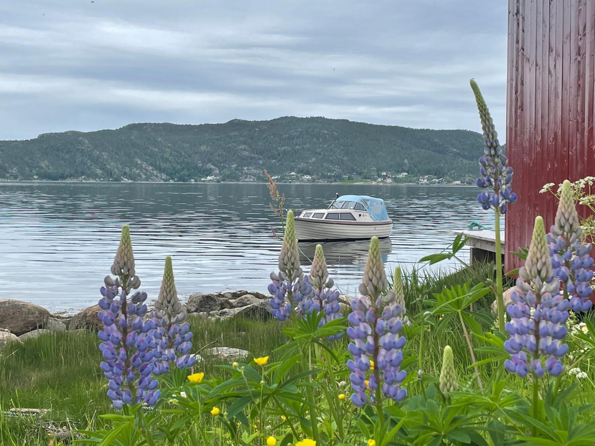 Appartamento Stille Og Landlig, Men Sentrumsnaer Leilighet Namsos Esterno foto